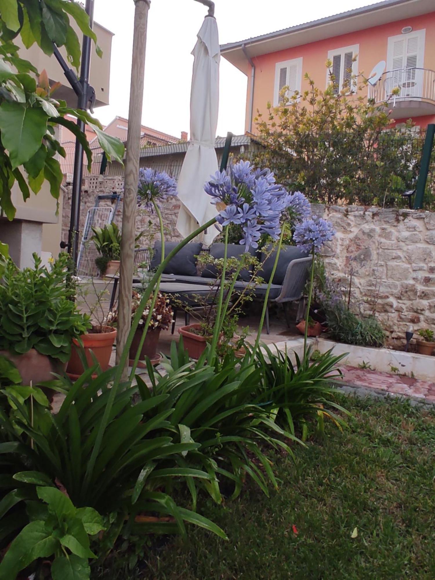 Vila Podvršina1A Rosa Preko Exteriér fotografie