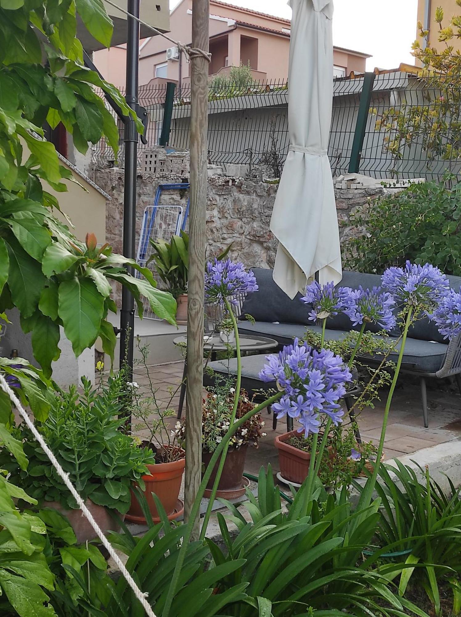Vila Podvršina1A Rosa Preko Exteriér fotografie